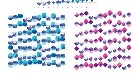 a grid split in half with the left side in blue rounded corners squares, and on the right purple and pink diamond shapes with rounded corners
