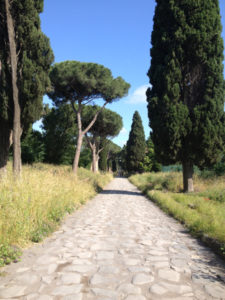 stone path with trees and blue sky