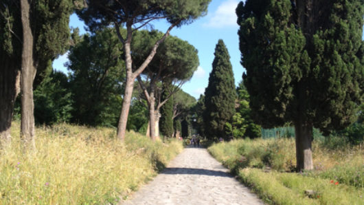 stone path with trees and blue sky