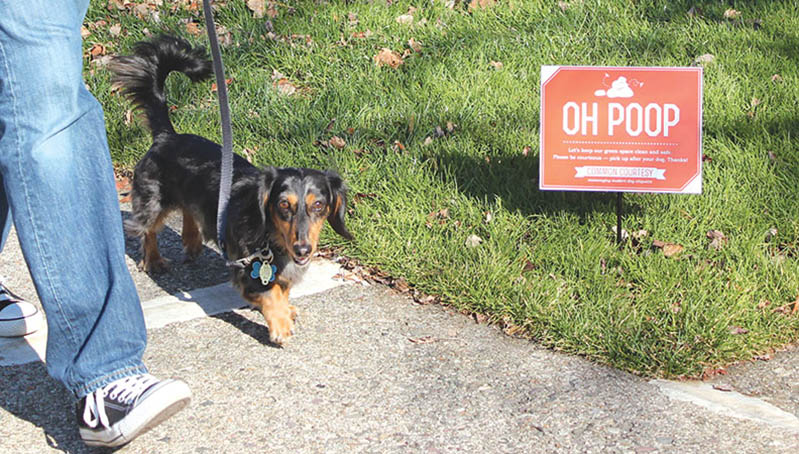 photo of a dog and a sign 'oh poop'
