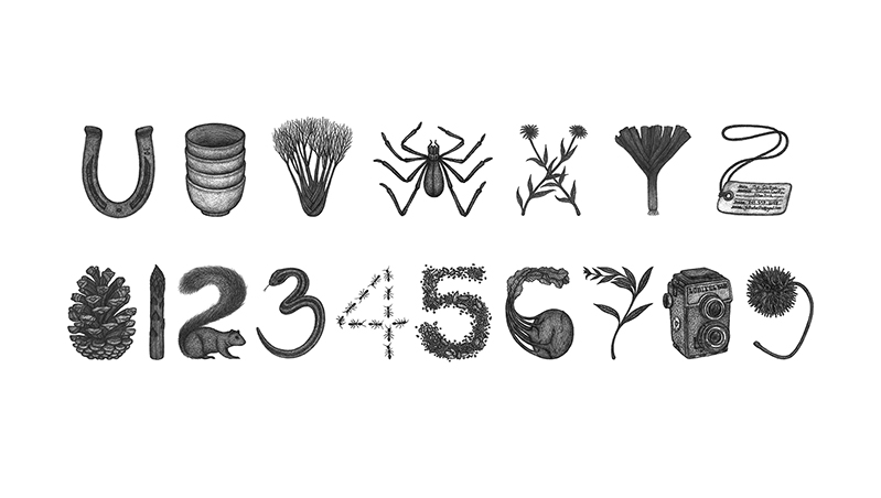 A part of the alphabet and the numerals made from different objects, plants and animals.