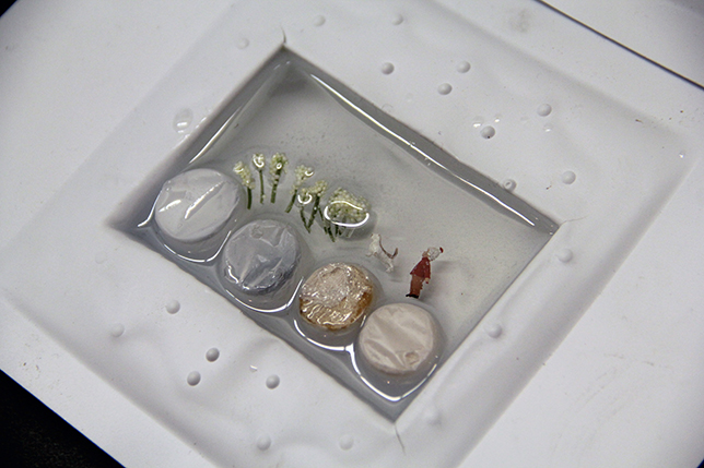 miscellaneous objects floating on water in a rectangle white recipient