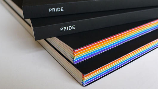 pride paper book