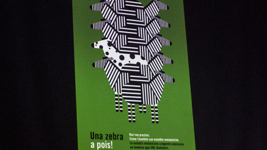 Zebra poster