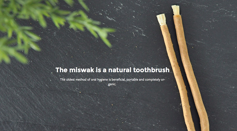 A poster showing an advertisement for a  new ecological toothbrush that looks like a stick. The text on the poster says: The miswak is a natural toothbrush.