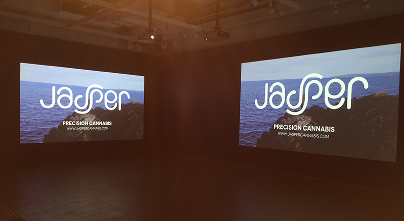 two identical images projected on two walls with an ocean and a rock with a white text saying Jadper Precision cannabis