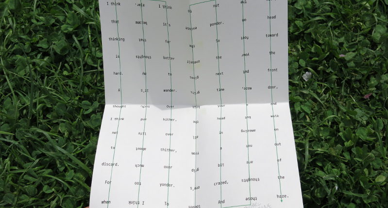 A photo of a piece of paper on grass. The paper contains some sort of graphic with labels connected by some green lines.