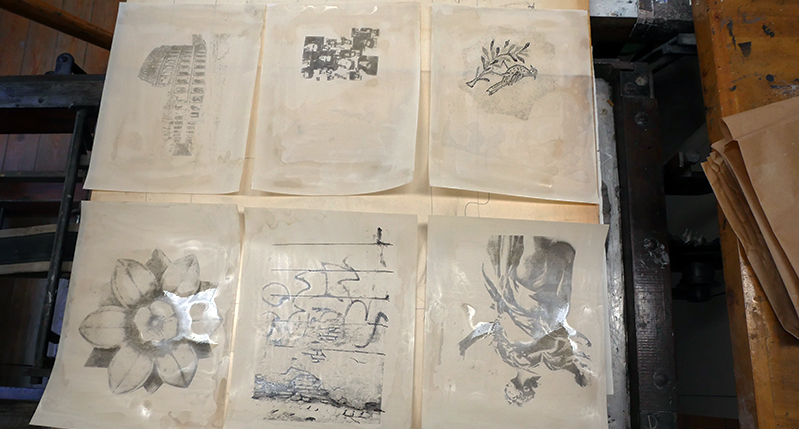 Different samples of images used for pressing bench.