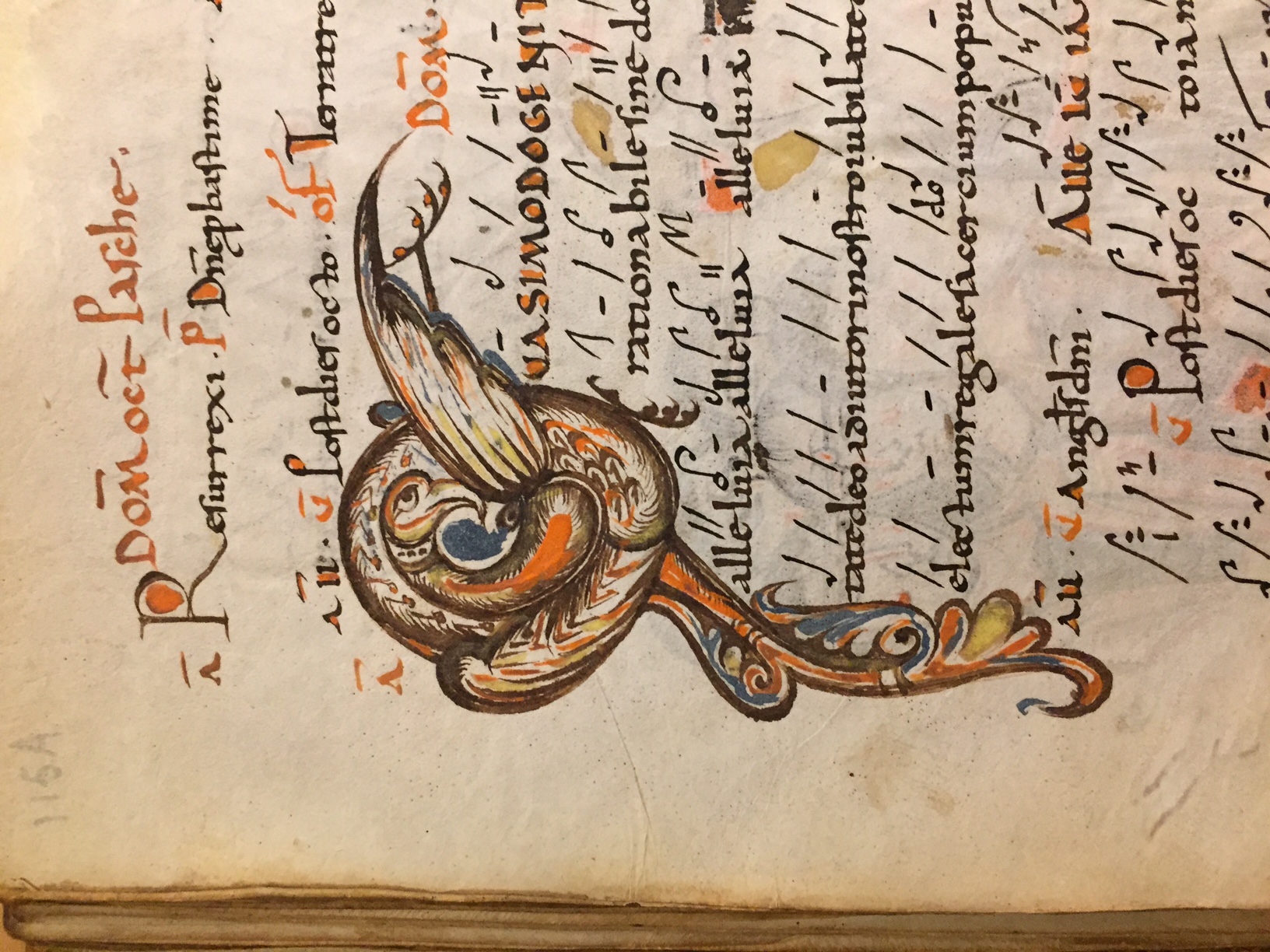 Calligraphic writing and stylized drawing of a birdlike creature from an old book.
