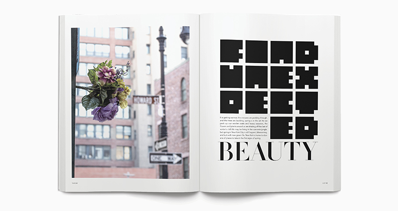An opened book that has on one page a street view and some flowers hanging from a building. On the other page there is some text and the word: Beauty.