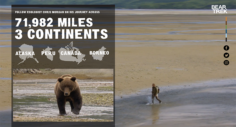 A poster showing a brown bear and the 3 continents as well as some countries or states like Alaska, Peru, Canada and Borneo where it lives. Also there is a picture of a man walking trough the water near a river bank.