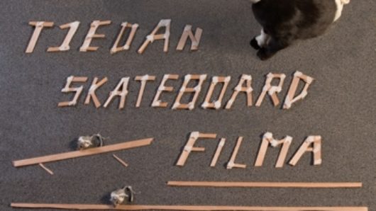 A poster depicting a cat with anti scratch cone and some foreign text made from wood sticks that reads Skateboard Film Studenski Centar.