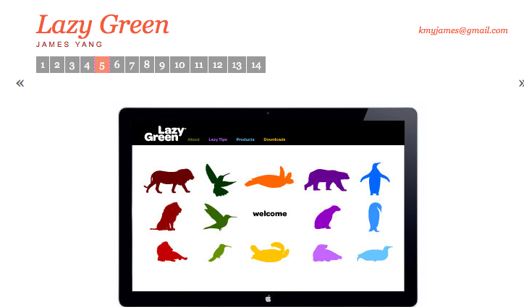 webpage of 2010 SVA MFAD Unleashed project Lazy Green