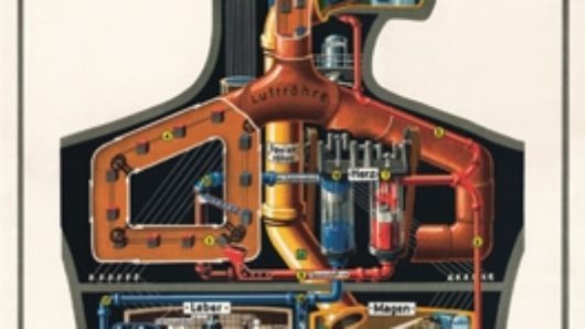 A poster with a human figure that has inside it different types of industrial aggregates, pipes, factory lines and processed products.