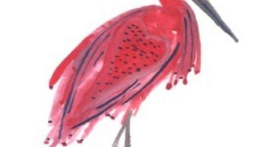 A drawing of a pink stork.