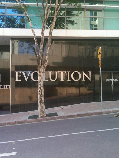 A street photo of a tree and a store front with the title EVOLUTION written in shiny letters.