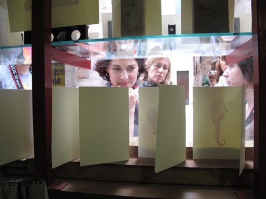 A photo of a group of people looking at seahorse card prints on a glass shelf.