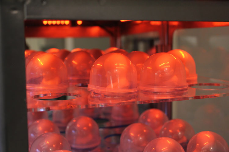 A photo of some orange transparent semi spheres, each containing a baby head.