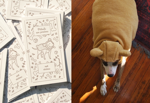 A photo of white cover books with drawings of bones, baseballs, branches and a dog dressed in a monkey costume. Alongside there is a photo of a real dog dressed in a brown monkey costume.