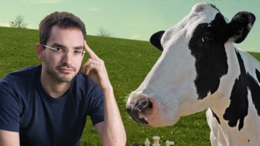 A poster showing a man and a cow sitting at a table, in the middle of a field and playing chess.