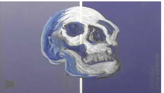 A paining of a skull on a half light, half dark violet background with a white line between the colors..