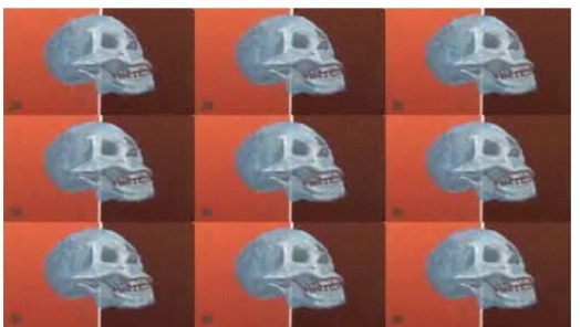 A pattern design of a grey skull on a light and dark orange color background.