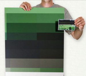 A photo of a man showing a green palette cardboard and a photo of a green football stadium.