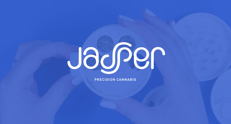 The white logo text Jasper Precision Cannabis placed over a blue filter and a photo of two hands holding a grinder.