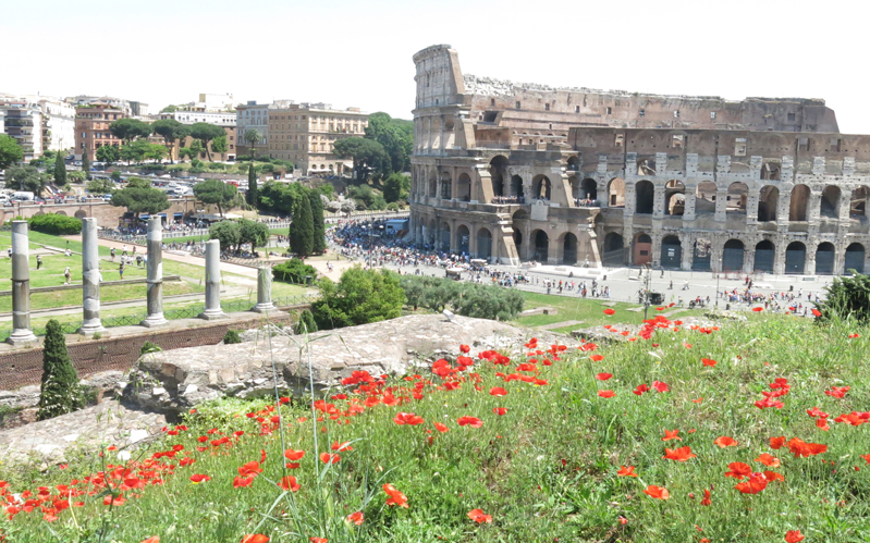 A photo showing the city scape of Rome with the Colosseum, other building and a green field with some red flowers.