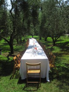 A photo of a green garden and a table with chairs in the middle.