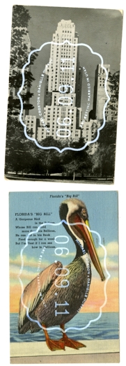 A picture of some old postcards one having a building on it and the other having a pelican on it.