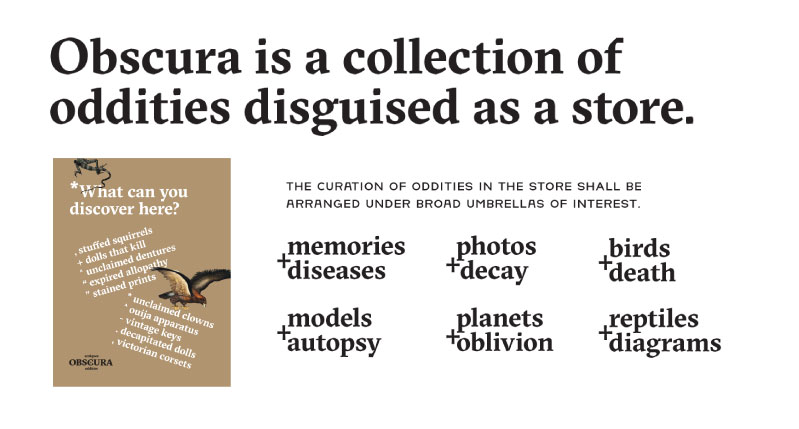 A text image explaining that: Obscura is a collection of oddities disguised as a store. Memories diseases, photos decay, birds death, models autopsy, planets oblivion reptile diagrams.