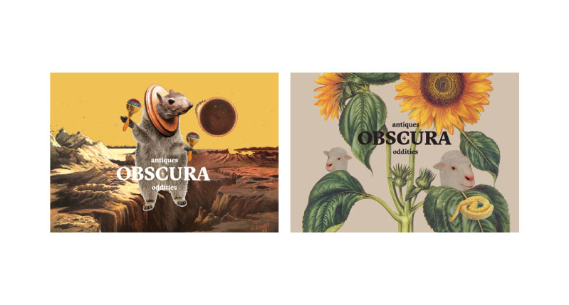 A set of two images, one depicting a squirrel wearing an astronaut costume and on a distant planet and the other representing some lambs and some sunflowers. On each image there is the text: Obscura.