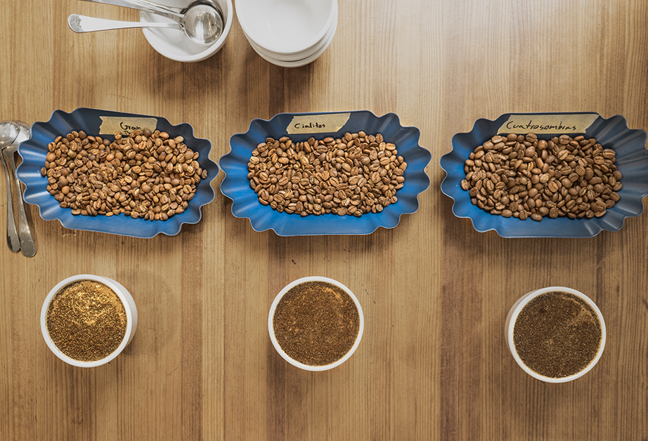 three coffee beans types in three bowls, and in front of each bowl is a small quantity of ground coffee