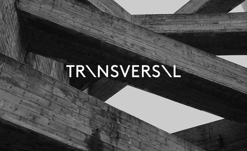 A black and white photo of some transversal columns and the text logo: TRANSVERSAL.