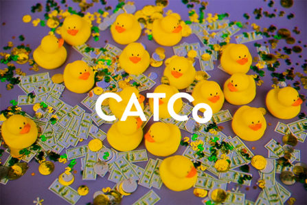 catco logo over an image with many small toy ducklings