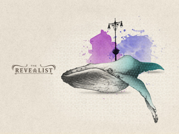the revealist illustration of a large whale