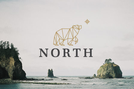 the north logo over a landscape photo of the ocean
