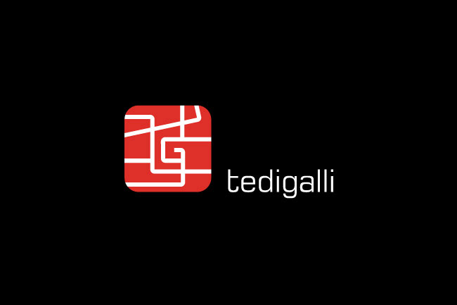 tedigalli logo