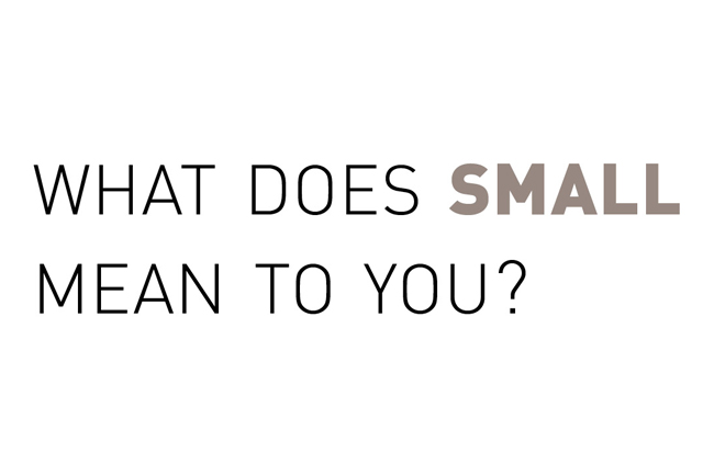 what does small mean to you? written on thin font and small is in grey and bolded font