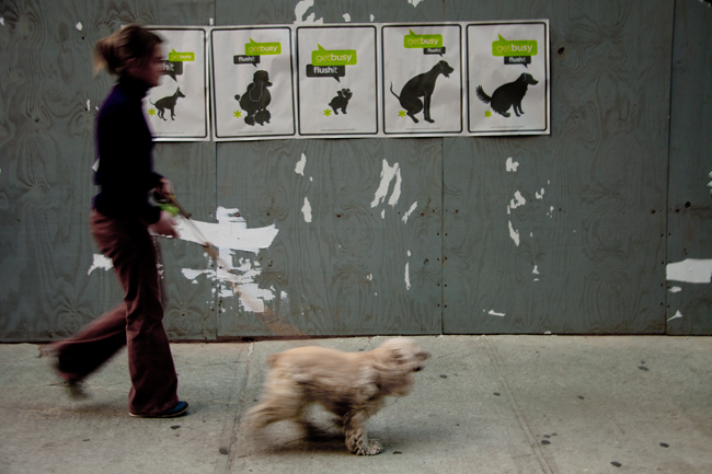 getbusy posters glued on a wood board near a sidewalk, and a woman walks a dog