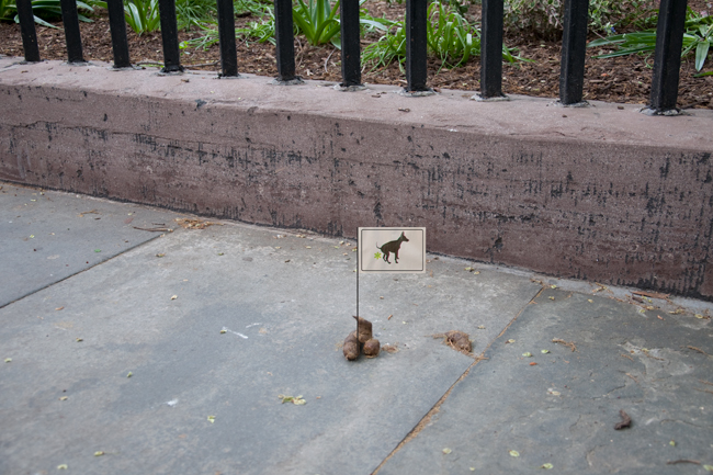 dog poop on the sidewalk with a small flag with an illustration of a dog on it