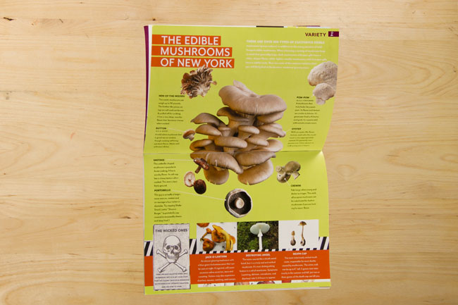 a book opened to the pages where it is explained what mushrooms are edible in new york