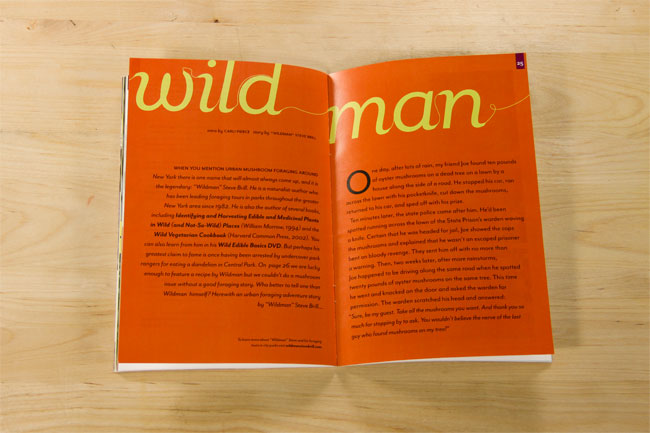 an open book with two orange pages on the left and right, with the big title written in yellow, "wild man"