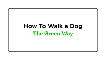 How to Wals a Dog The Green Way logo in a rectangular with rounded corners
