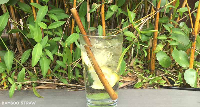 a beverage with bamboo straw