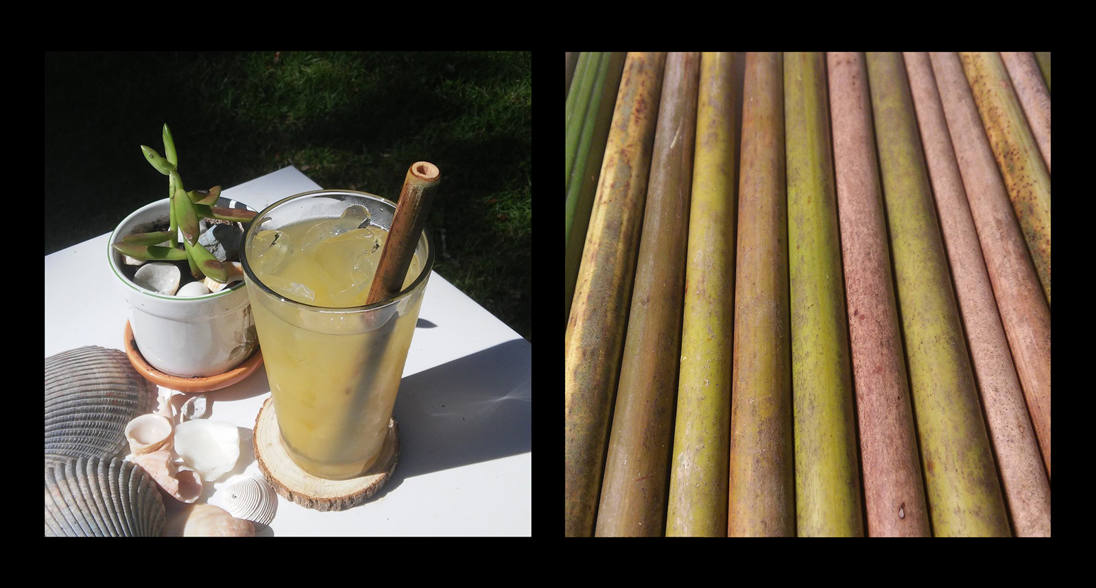 bamboo straws and a glass with a beverage