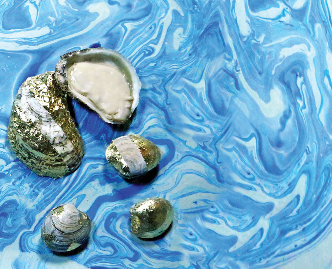 shells on trippy blue paint