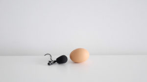 brown egg and microphone