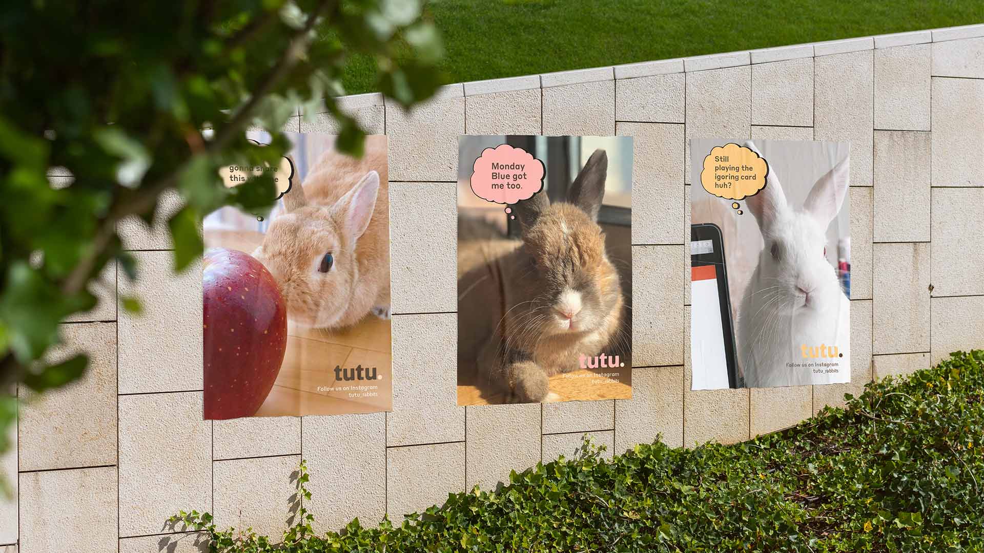 Tutu outdoor posters